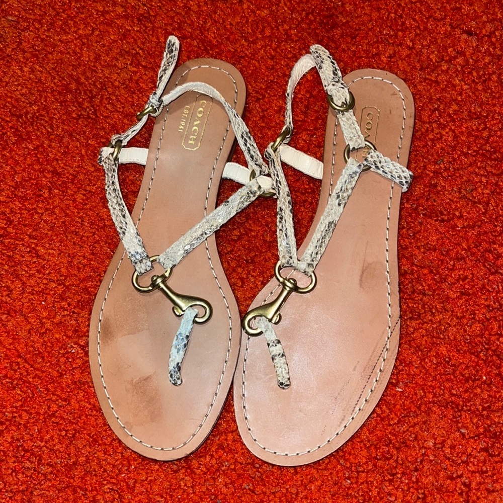 Coach snake skin gladiator sandals